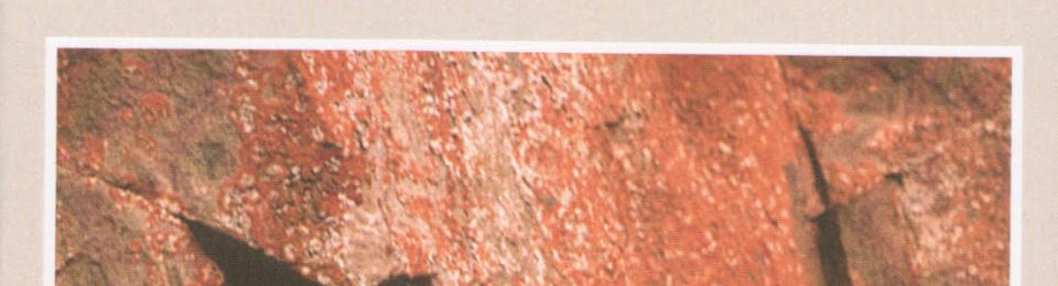 Réquiem por suenos assesinados